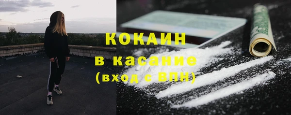 крисы Надым