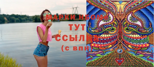 крисы Надым
