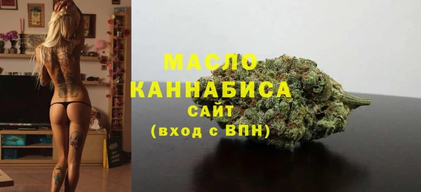 крисы Надым