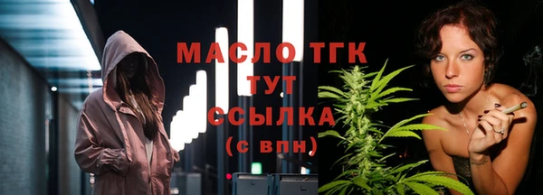 крисы Надым