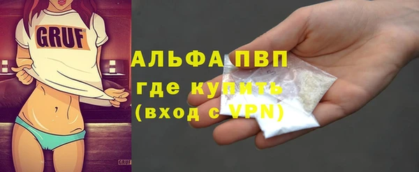 крисы Надым