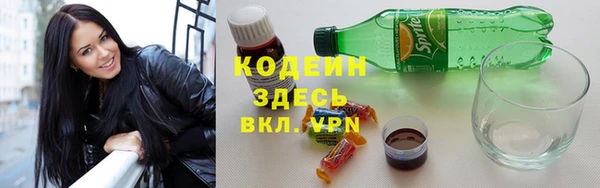 крисы Надым