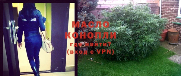 крисы Надым