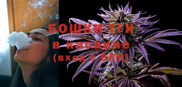 крисы Надым