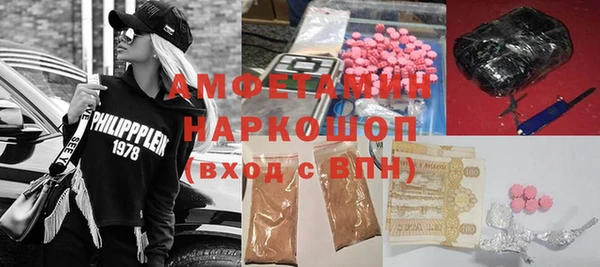 ПСИЛОЦИБИНОВЫЕ ГРИБЫ Горно-Алтайск