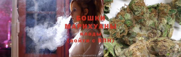 крисы Надым