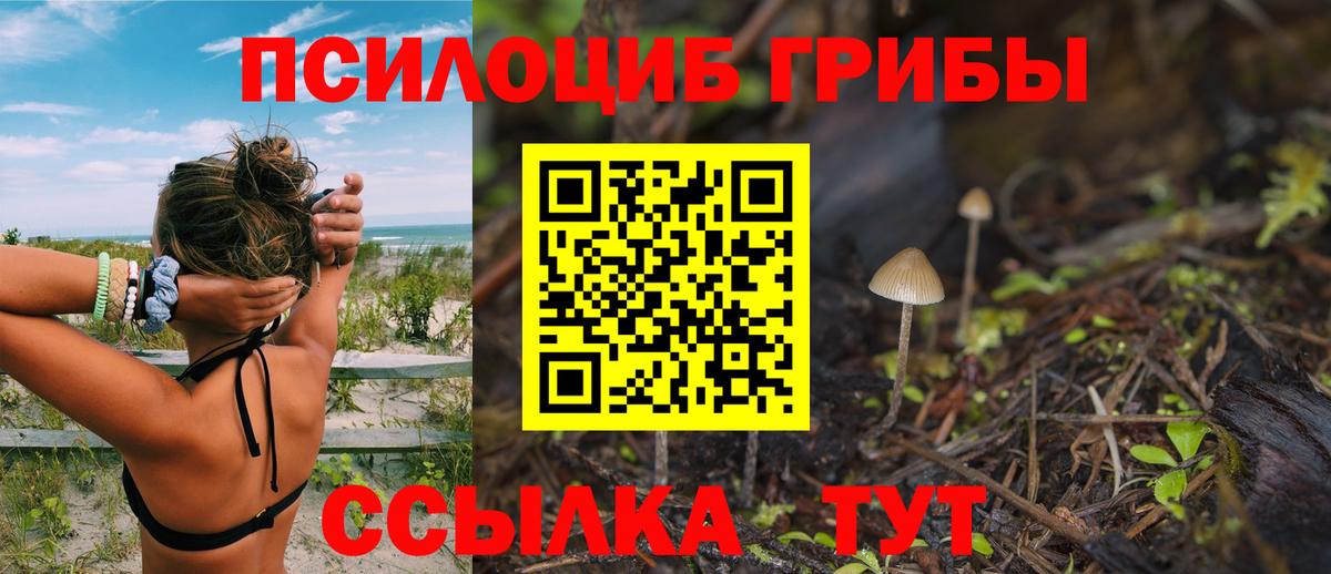 Галлюциногенные грибы Psilocybe  Вход с VPN  Абинск 